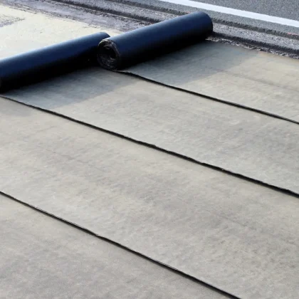 0e7a1895e396c8bac1a2669ac819d063